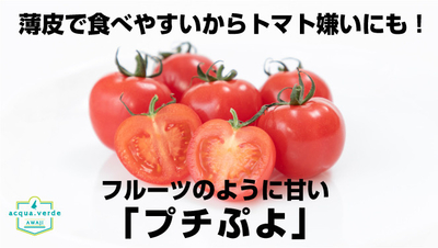 2022年12月上旬～2023年3月下旬までの期間限定！ギフトに
